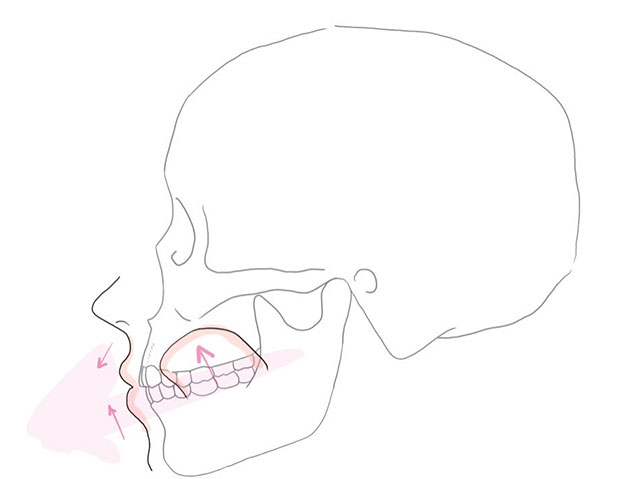 舌と唇の正しい姿勢